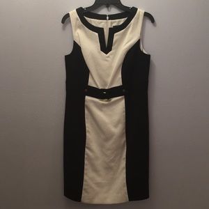 Professional, Classy Knee high Dress